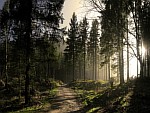 [Нажмите для просмотра]
